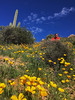 photo thumbnail #7