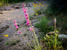 photo thumbnail #15