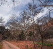 photo thumbnail #13