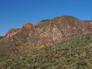 photo thumbnail #6