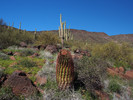 photo thumbnail #11