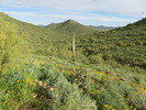 photo thumbnail #7