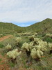 photo thumbnail #12