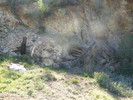 photo thumbnail #10