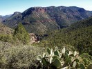 photo thumbnail #7