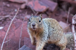 photo thumbnail #14