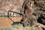 photo thumbnail #15