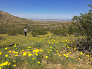 photo thumbnail #9