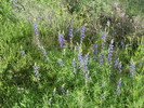 photo thumbnail #14