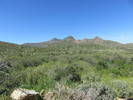 photo thumbnail #3