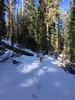 photo thumbnail #12