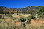 photo thumbnail #15