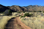photo thumbnail #14