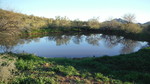 photo thumbnail #12