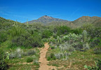 photo thumbnail #8