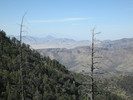 photo thumbnail #3