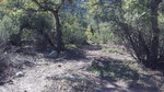 photo thumbnail #14