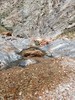 photo thumbnail #13