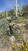photo thumbnail #13