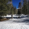 photo thumbnail #2