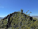 photo thumbnail #5