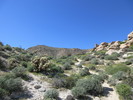 photo thumbnail #2