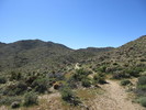 photo thumbnail #3