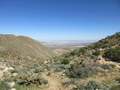 photo thumbnail #4