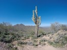 photo thumbnail #2