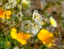 photo thumbnail #15