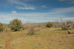 photo thumbnail #11