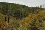 photo thumbnail #15