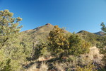 photo thumbnail #10