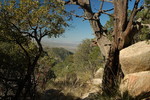 photo thumbnail #11