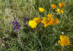 photo thumbnail #10