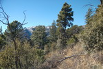 photo thumbnail #13
