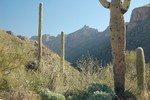 photo thumbnail #3