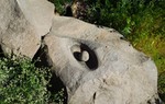 photo thumbnail #3