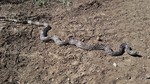 photo thumbnail #8