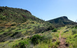 photo thumbnail #12