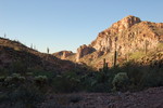 photo thumbnail #7