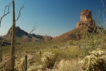 photo thumbnail #12