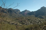 photo thumbnail #13