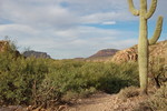 photo thumbnail #2