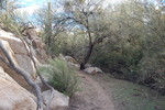 photo thumbnail #8