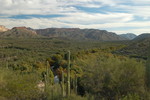 photo thumbnail #9