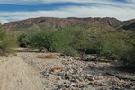 photo thumbnail #11