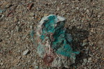 photo thumbnail #4