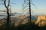 photo thumbnail #2
