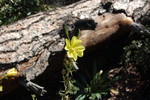 photo thumbnail #15